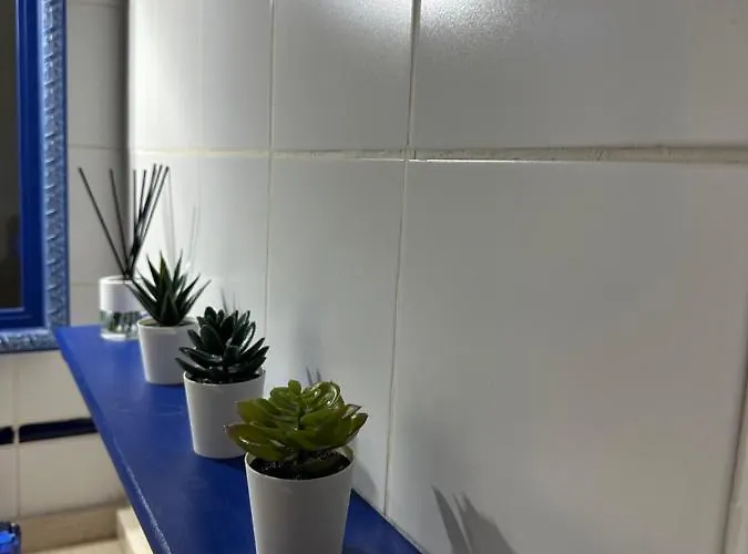 Apartment Cruz Centro-free Parking